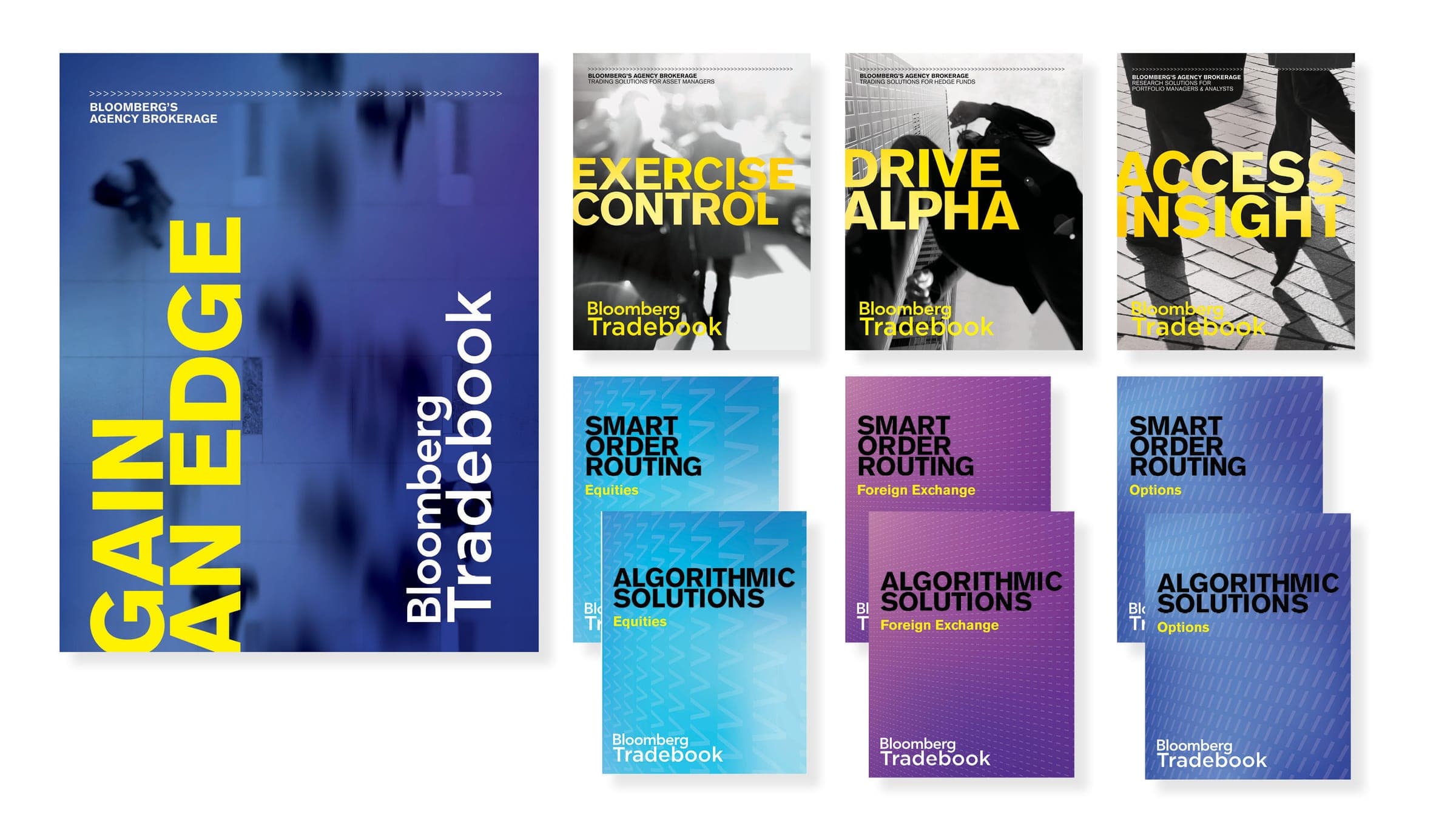 Bloomberg Brand Development -