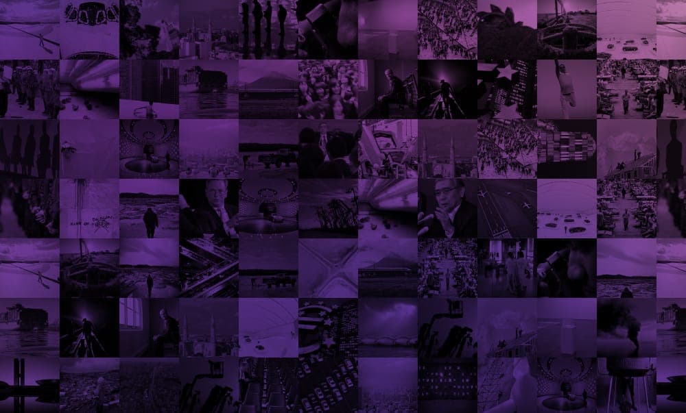 The Year Ahead - Environmental Reach